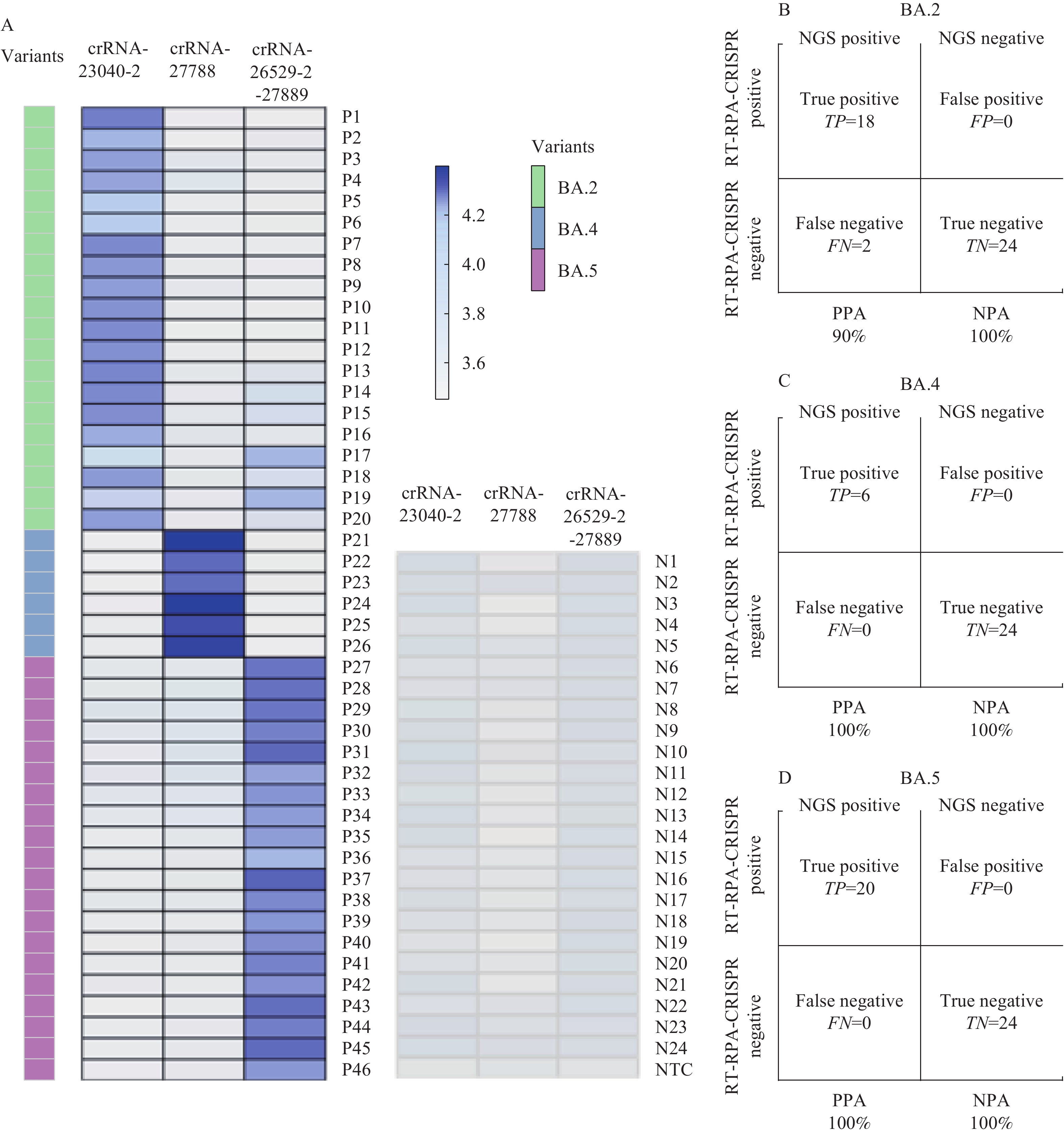 Detecting Sars Cov Ba Ba And Ba Variants Utilizing A Robust