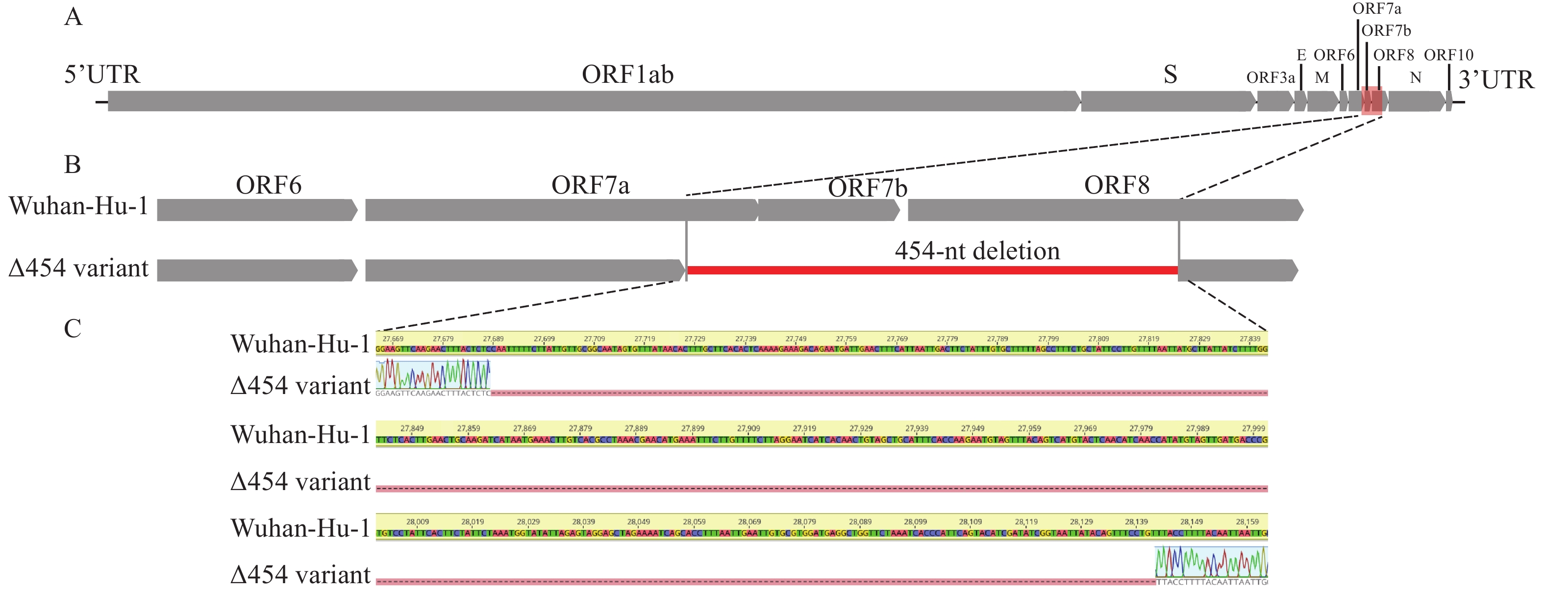 Emergence of a SARS-CoV-2 Omicron Subvariant BA.2.2 with a 454